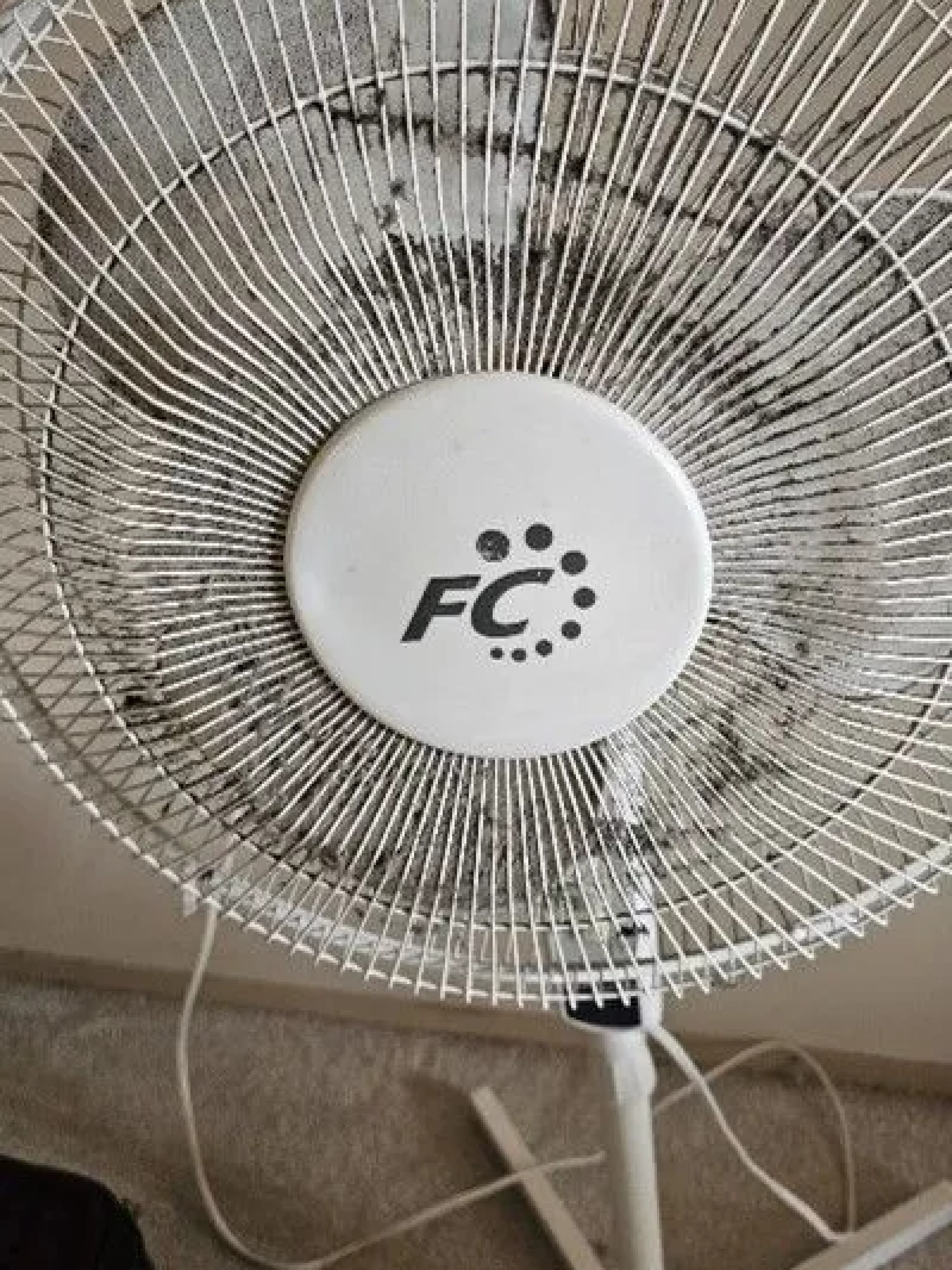 Picture19-2548ff2f-1920w